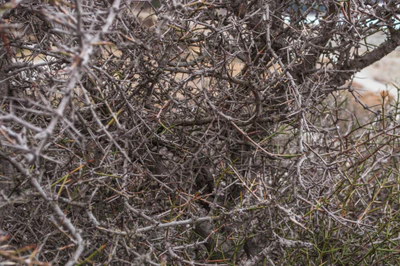 434 — скачать