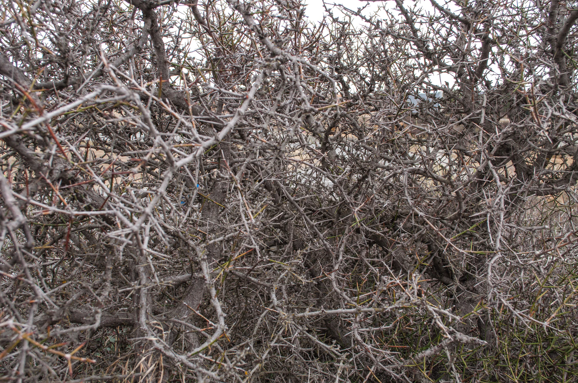 435 — Скачать