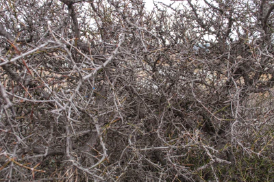 435 — скачать