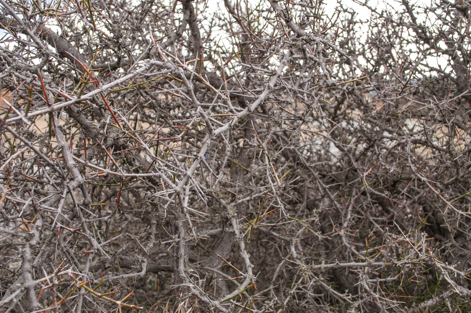 436 — Скачать