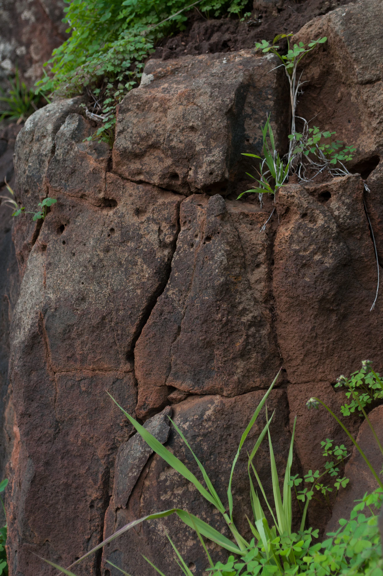 162 — Скачать