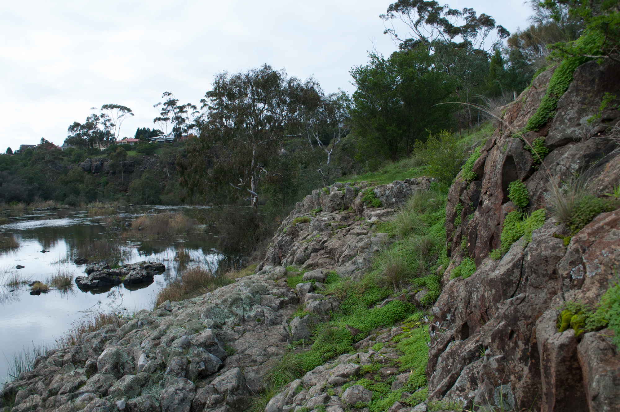 163 — Скачать