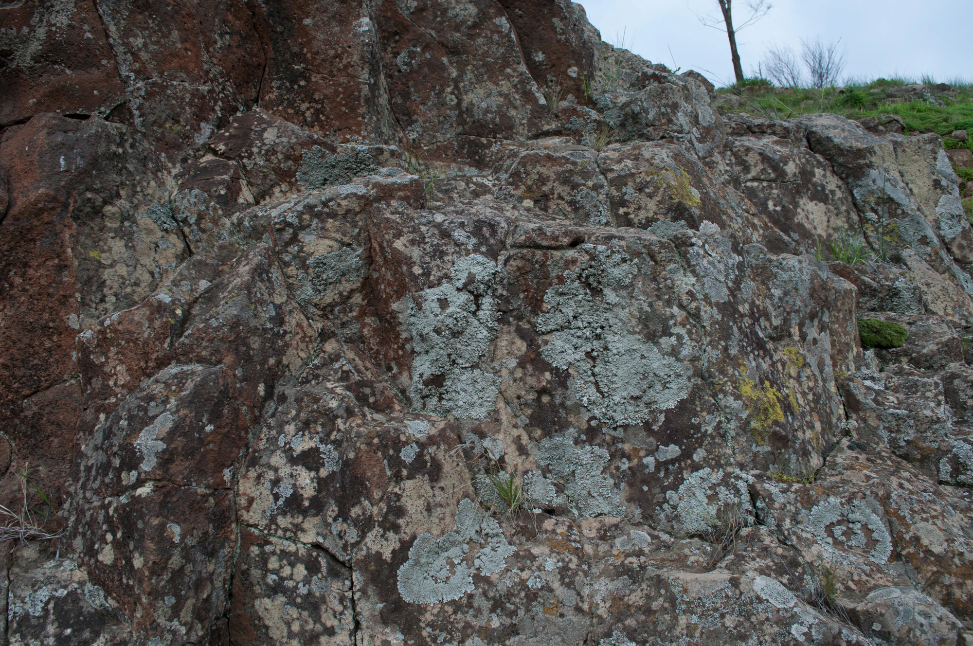 168 — Скачать