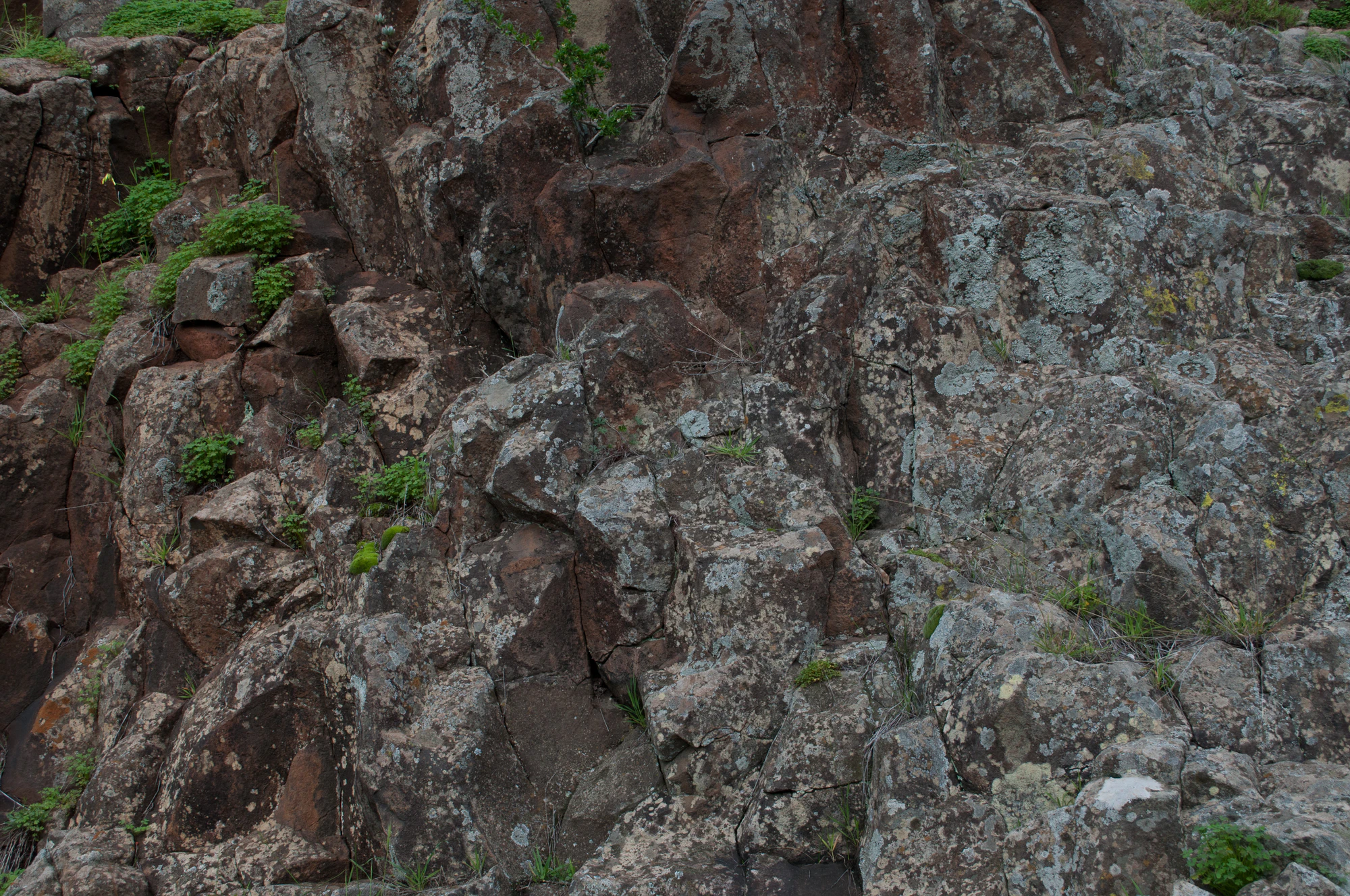 172 — Скачать