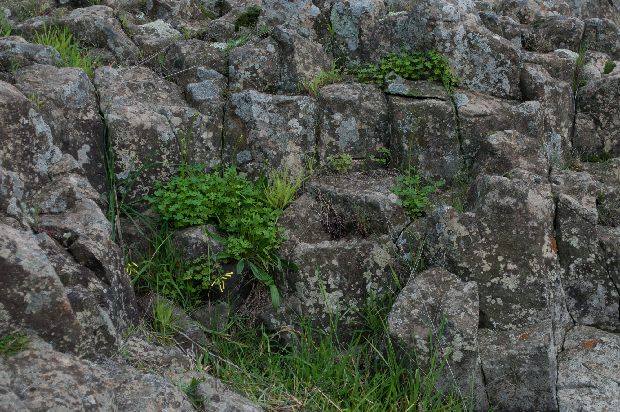 175 — Скачать