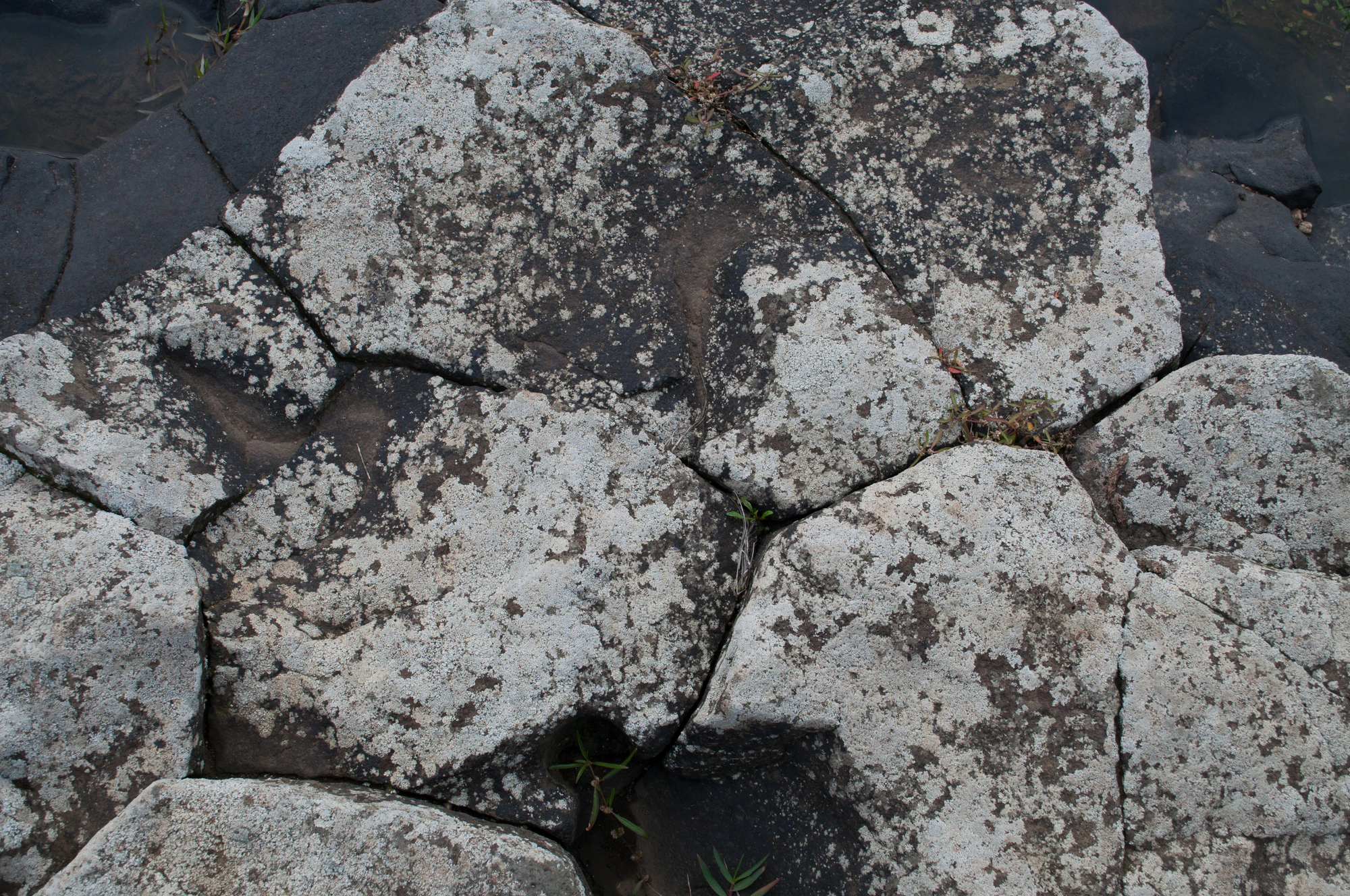 179 — Скачать