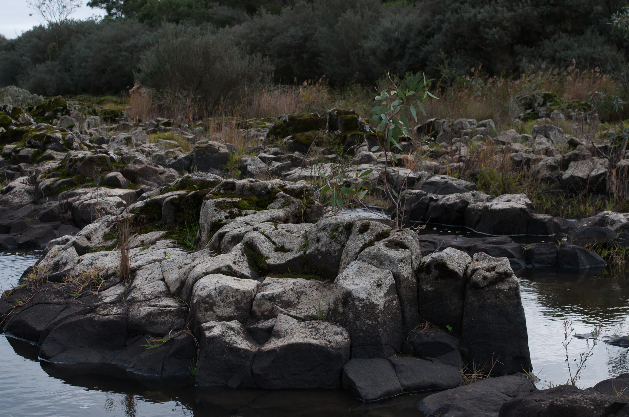 184 — Скачать