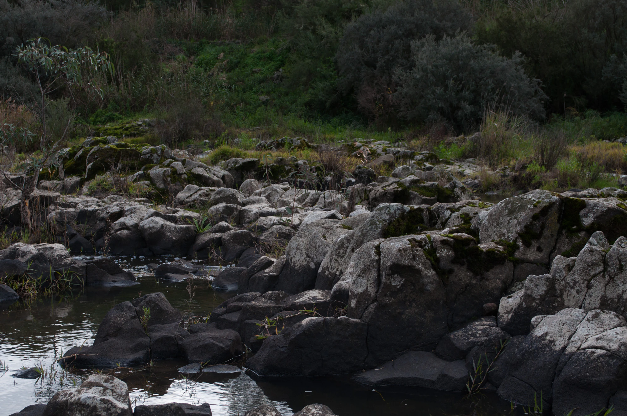 185 — Скачать