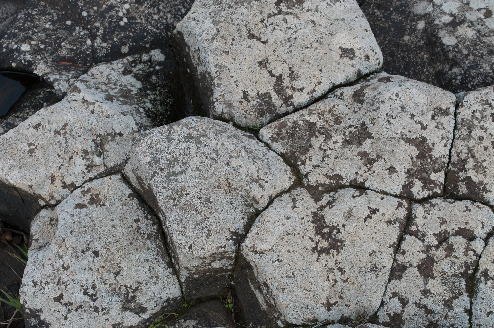 188 — Скачать