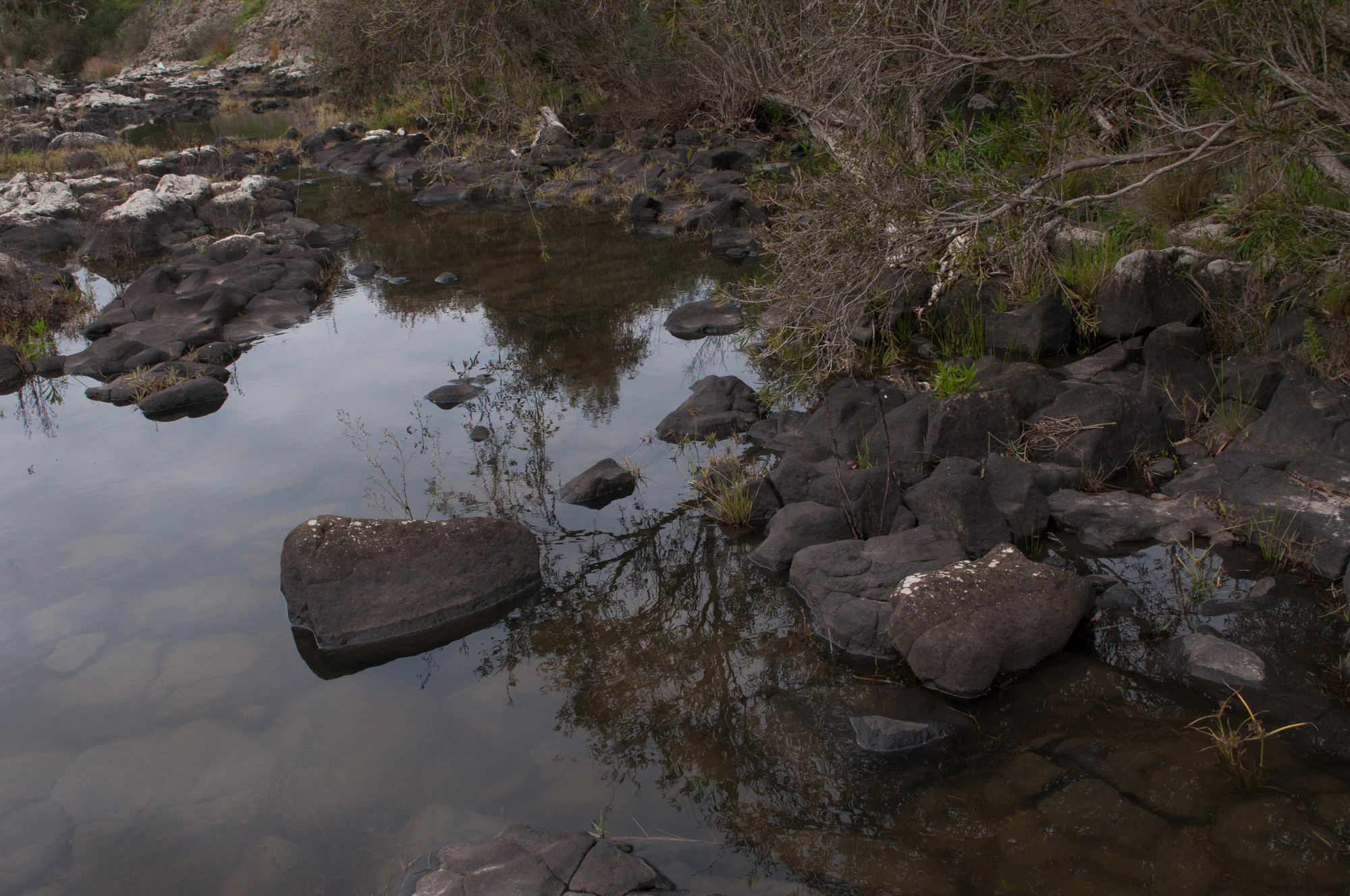 386 — Descargar