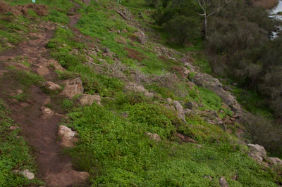 512 — Скачать