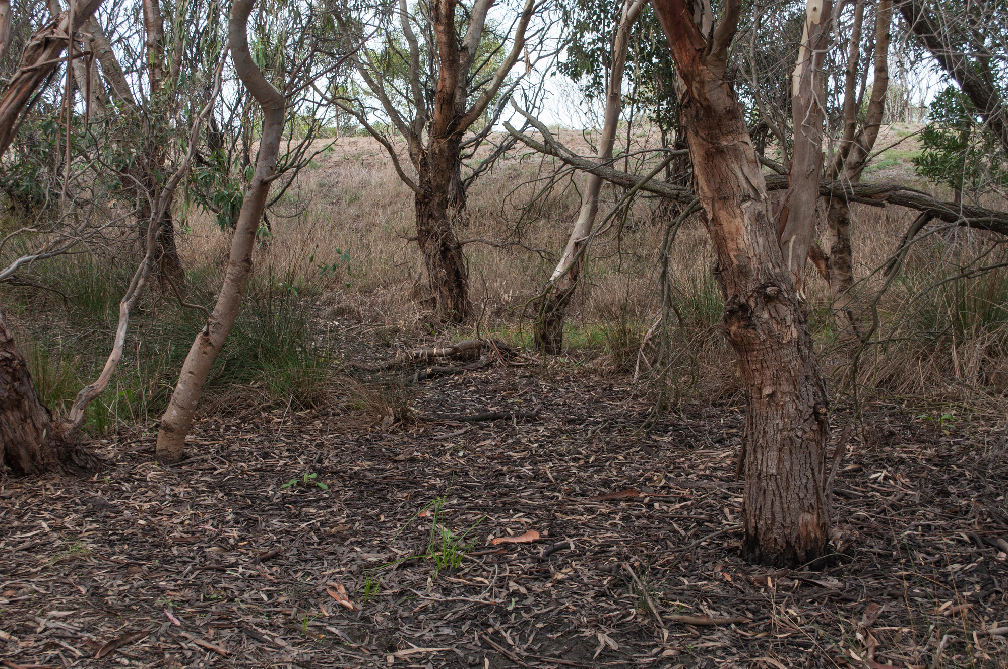 066 — Скачать