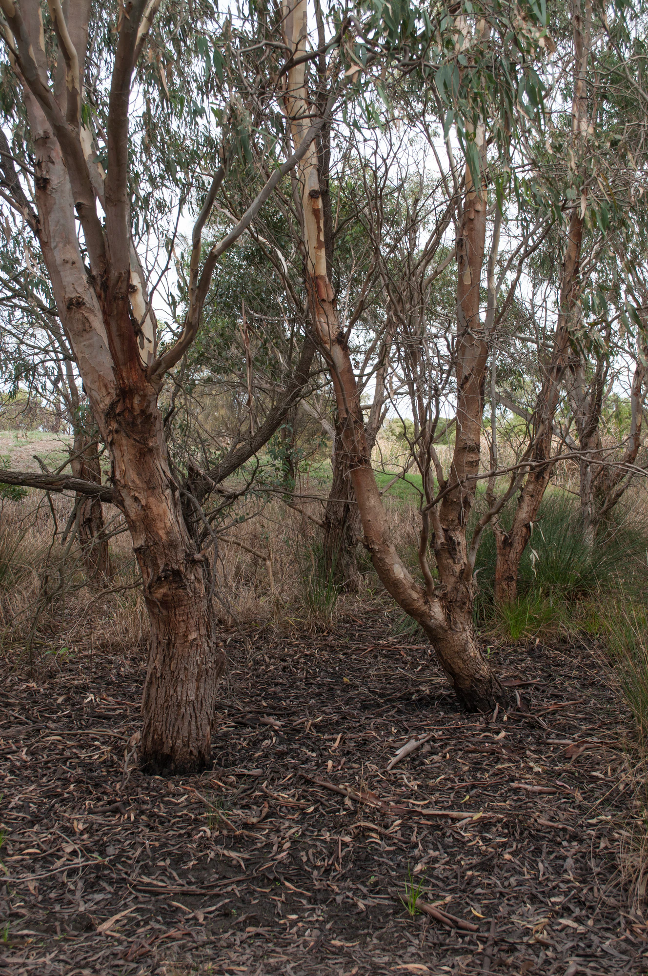 067 — Скачать