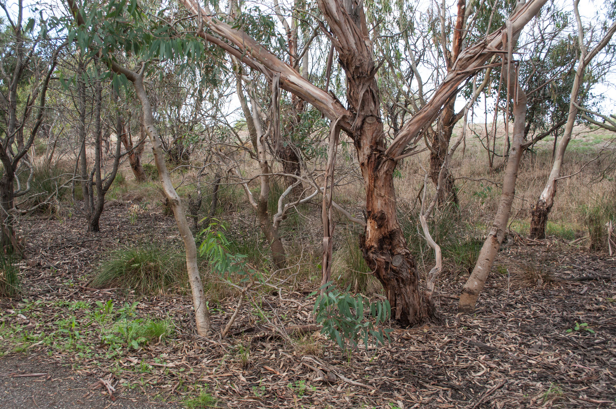 068 — Скачать