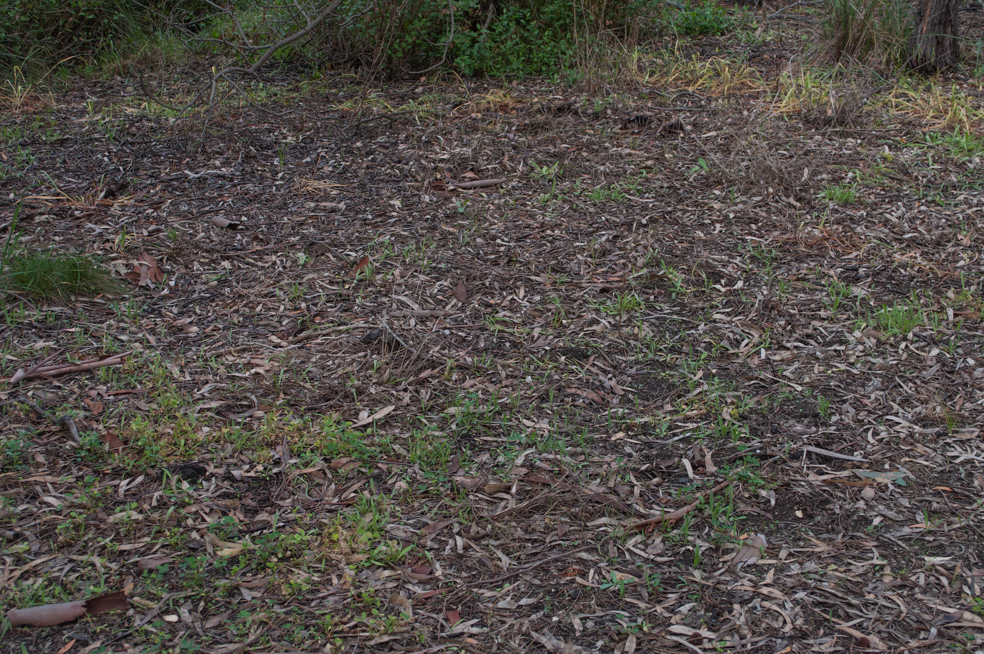 070 — Скачать