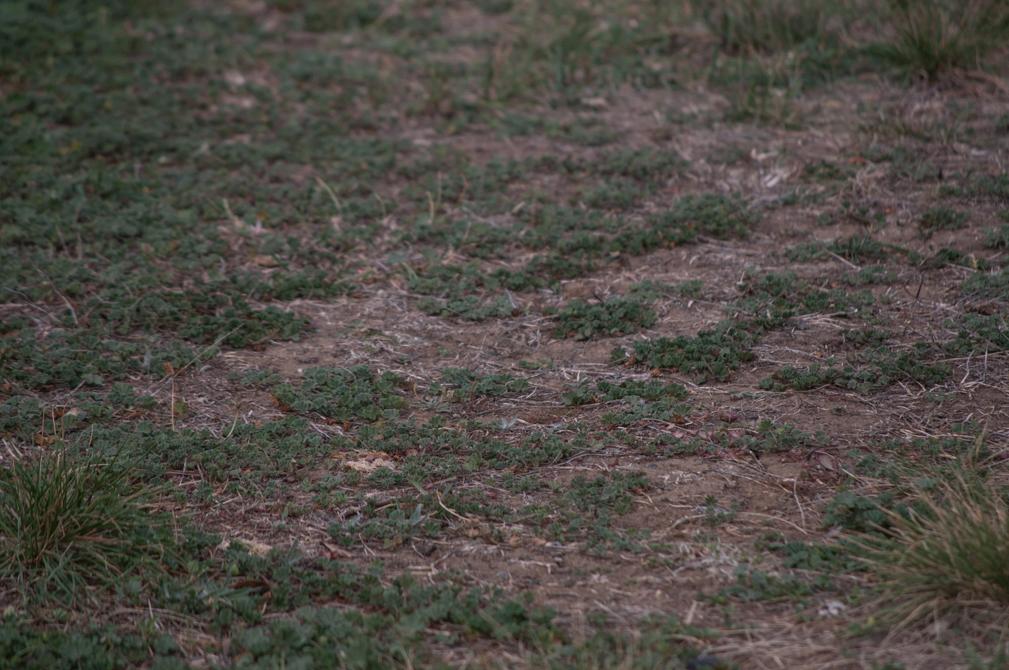 071 — Скачать