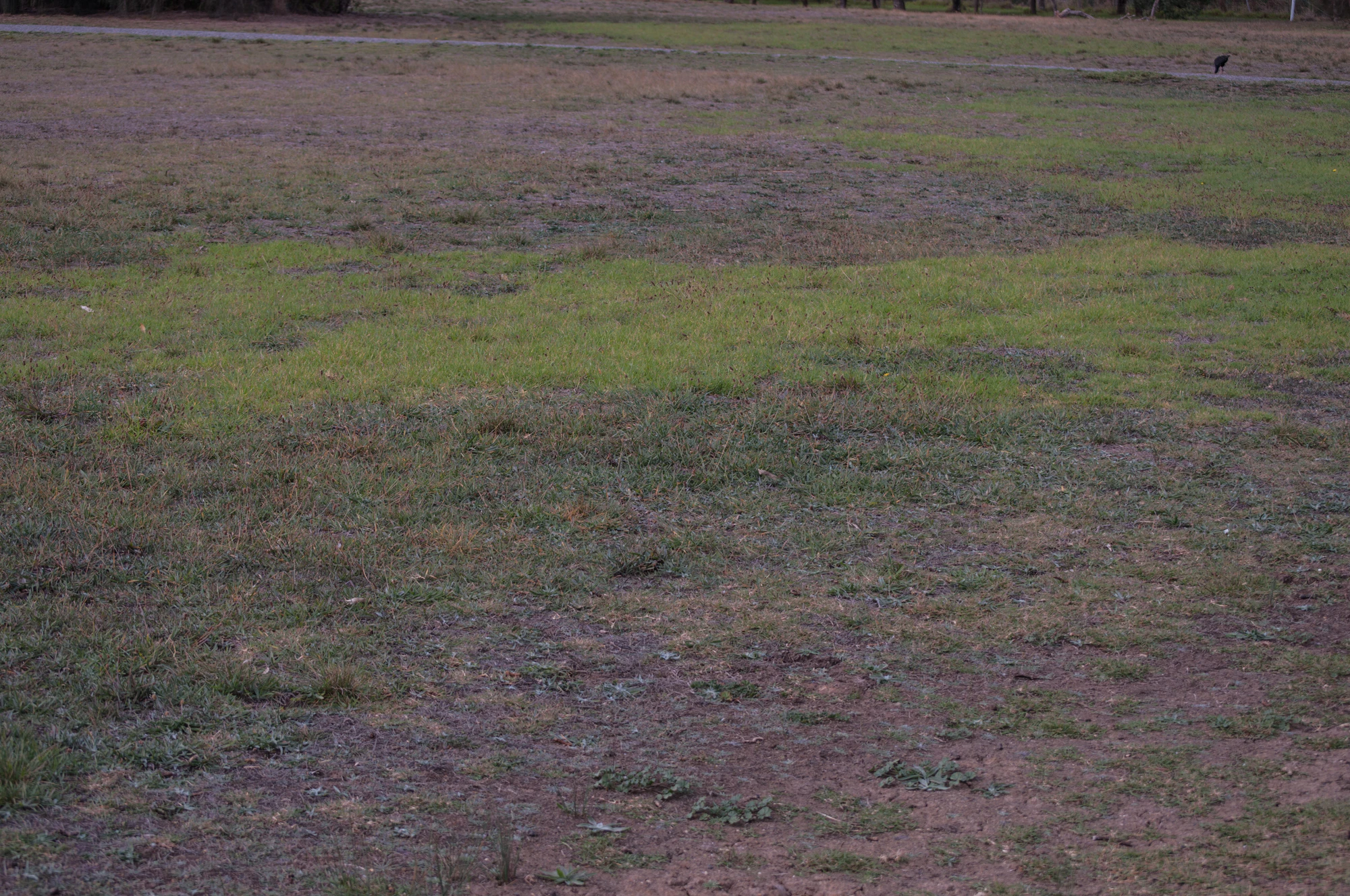 082 — Скачать