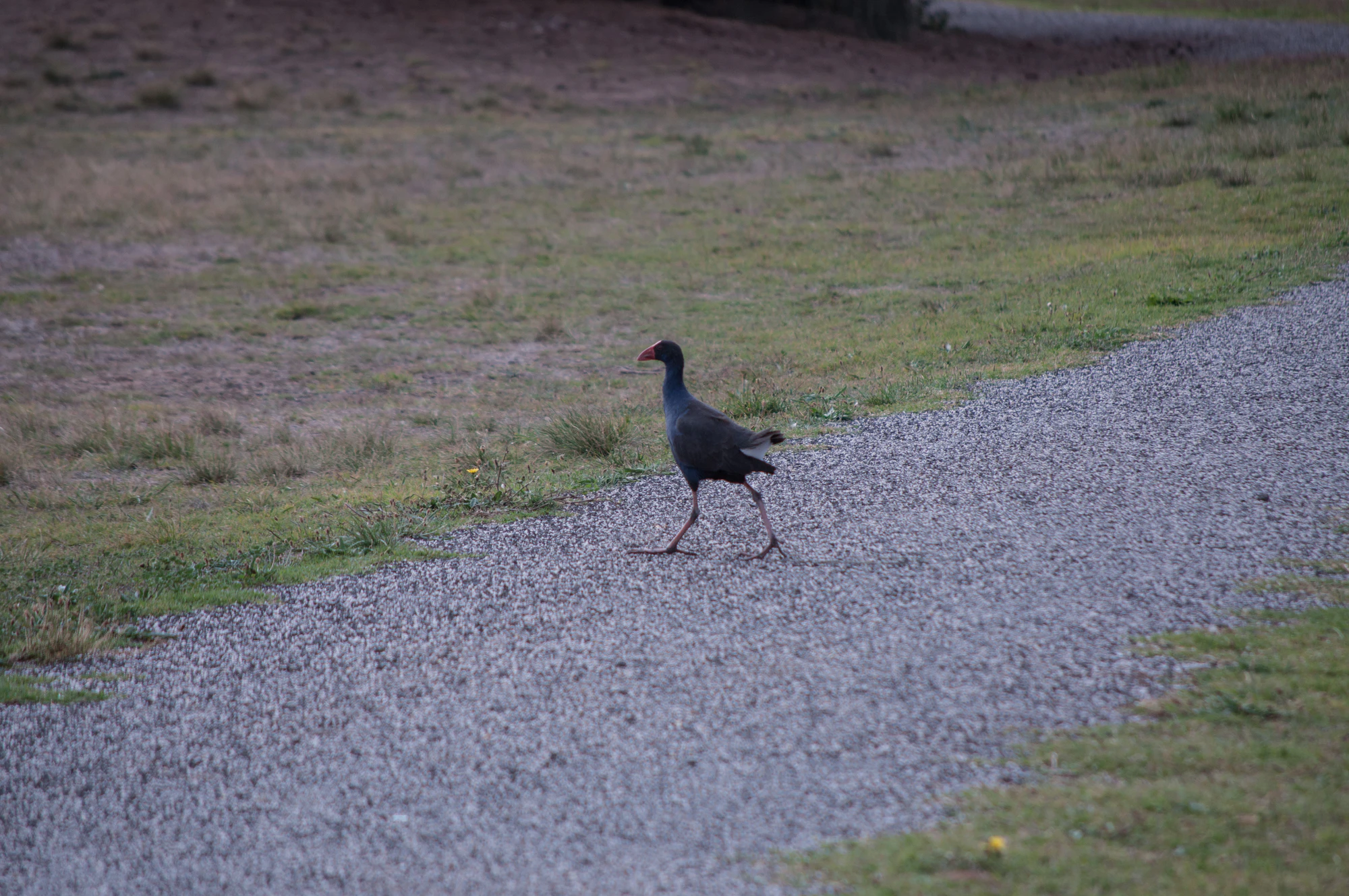 092 — Скачать