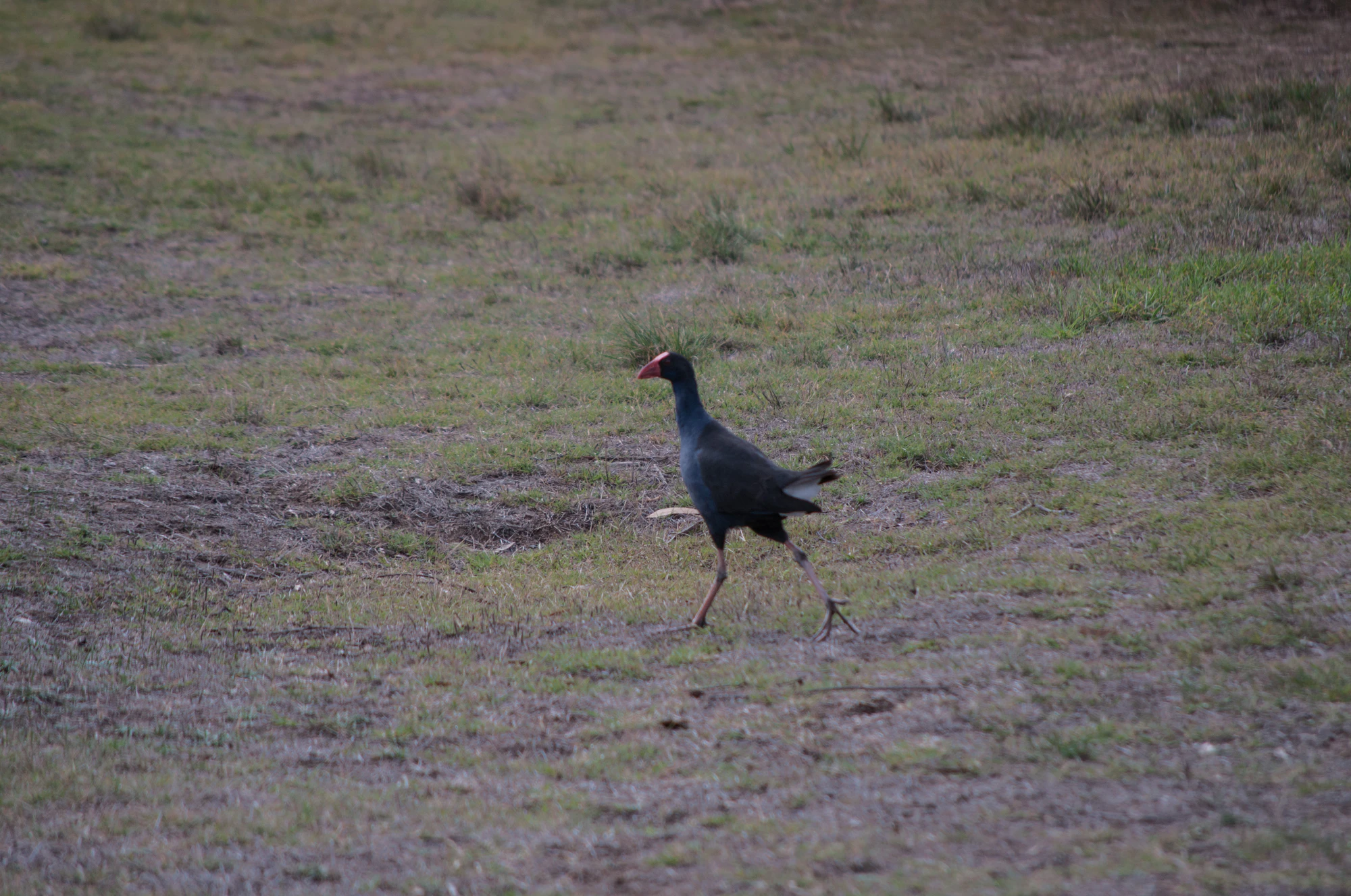 094 — Скачать