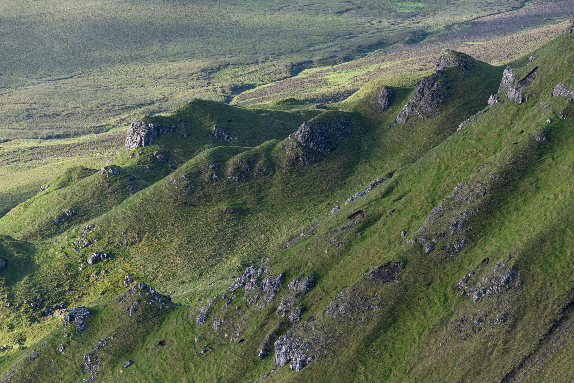 297 — Descargar