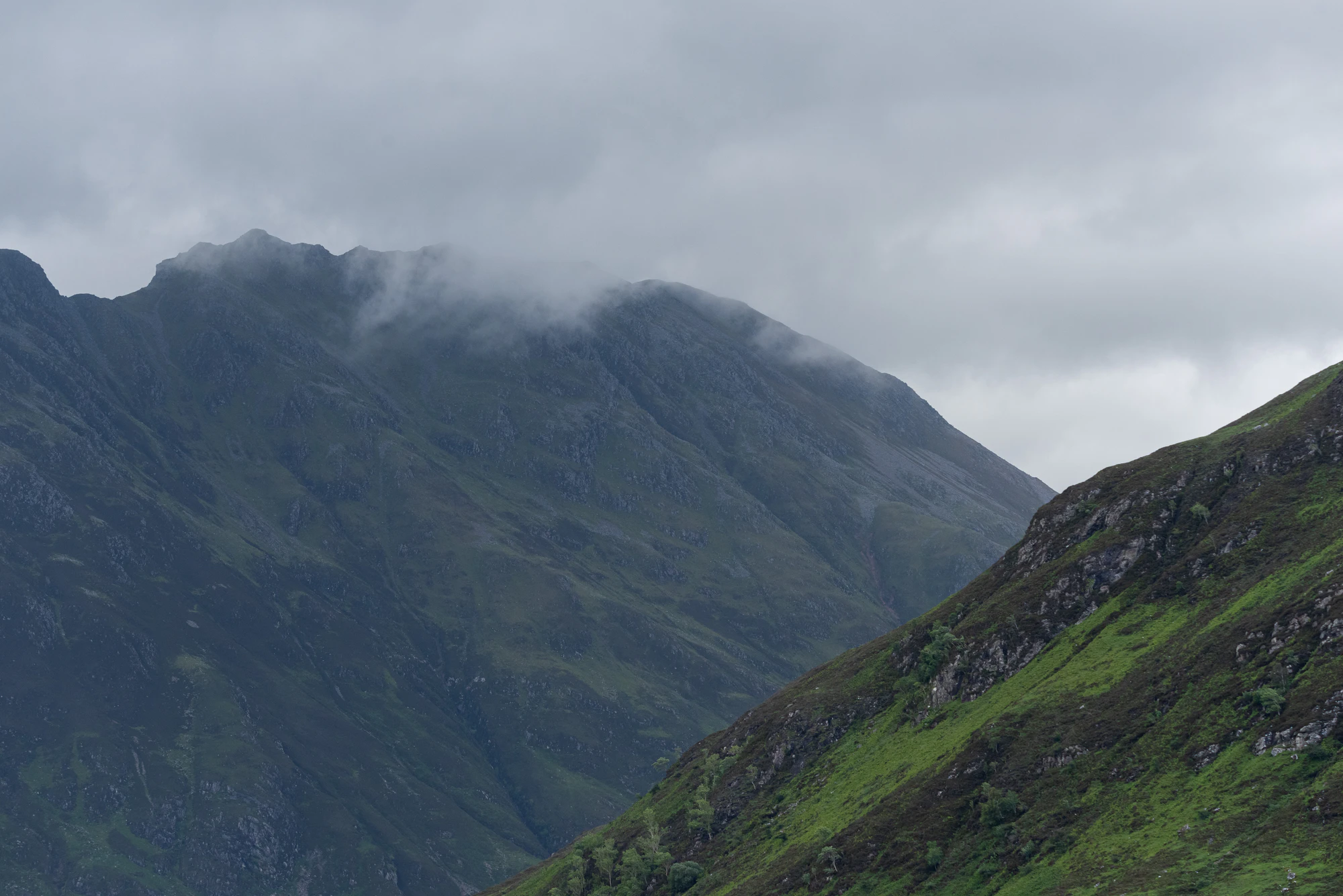 439 — Скачать