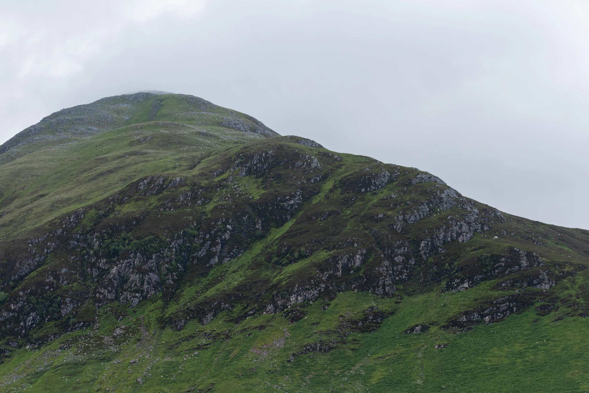 444 — Скачать