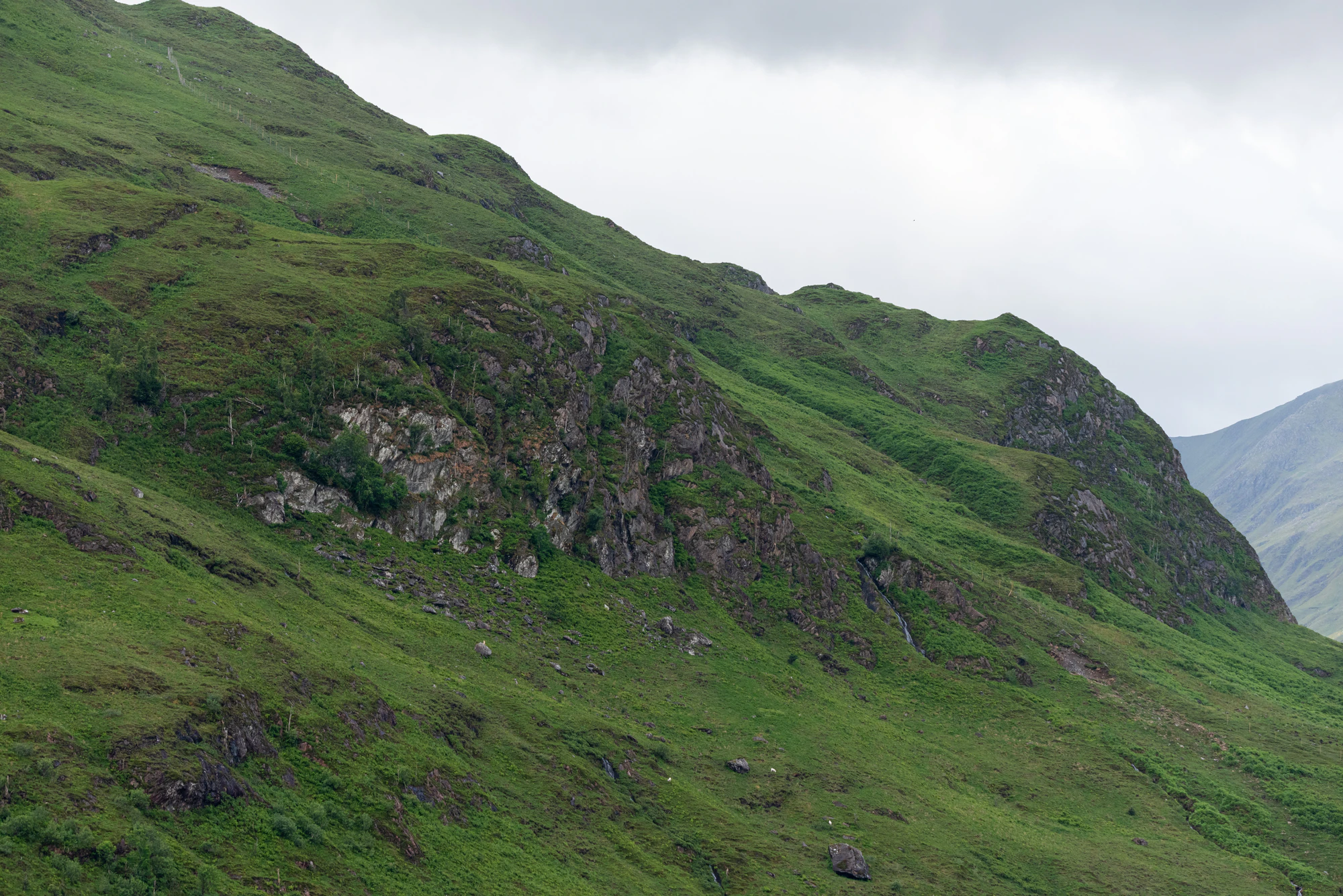 448 — Скачать