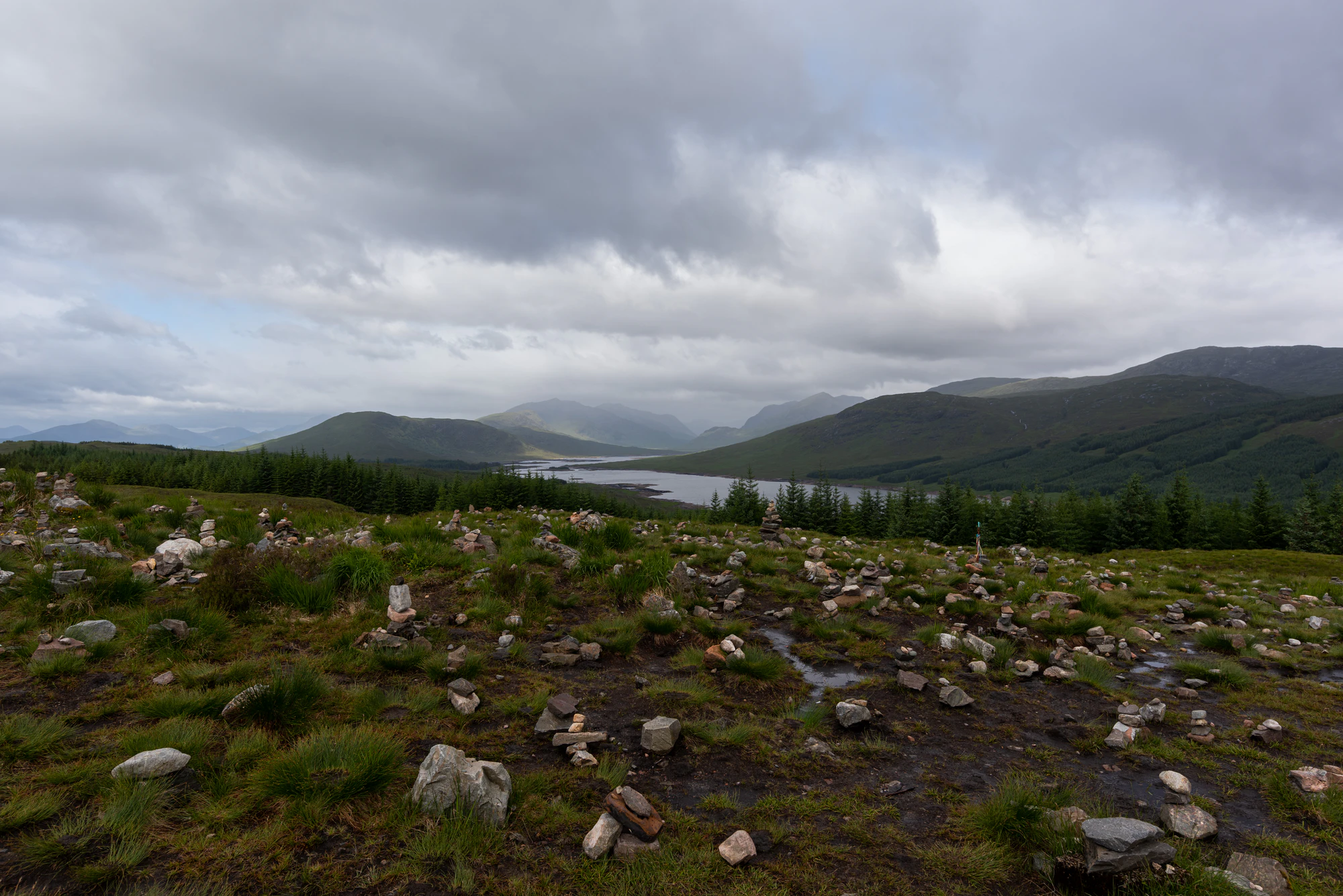 455 — Скачать