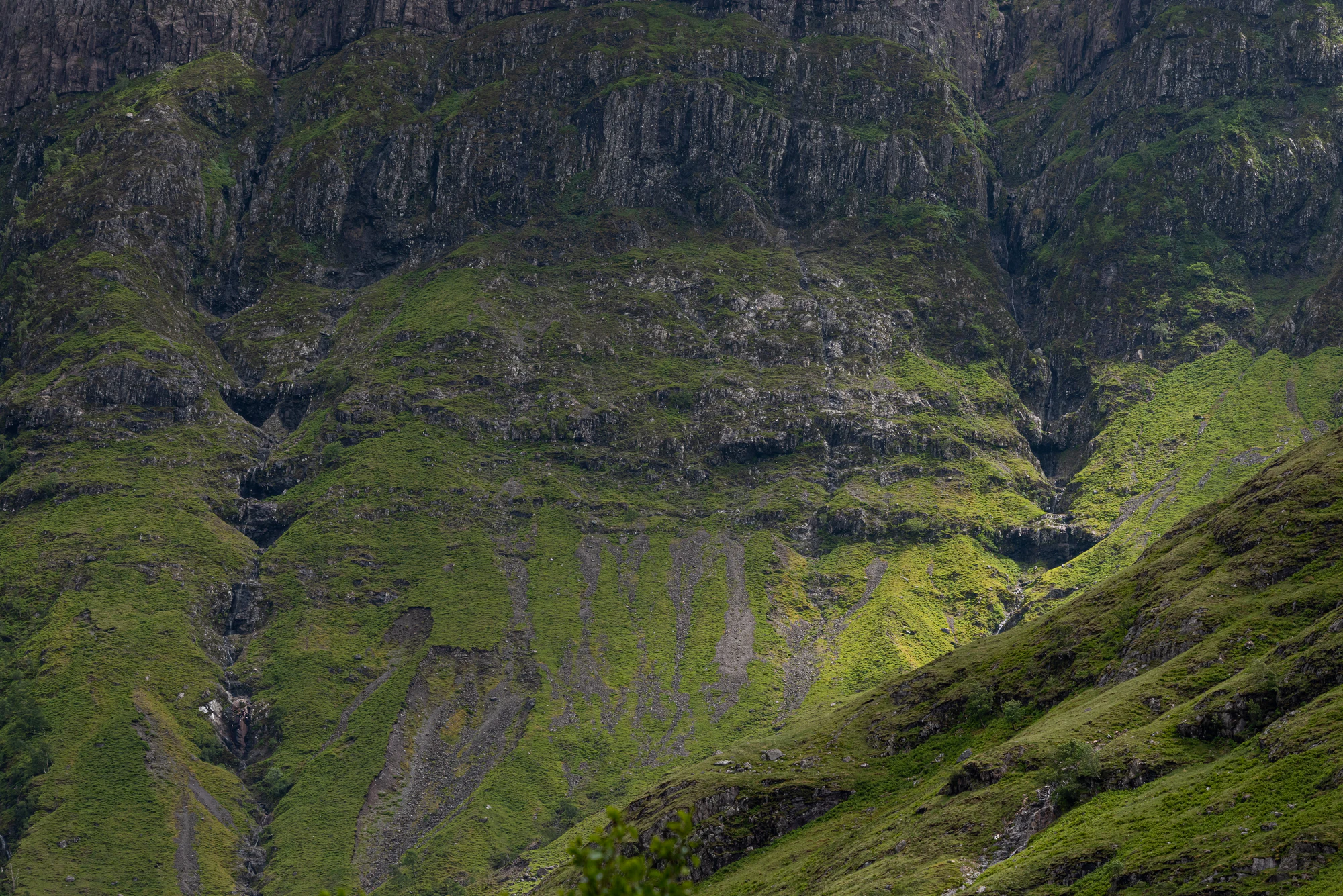 462 — Скачать