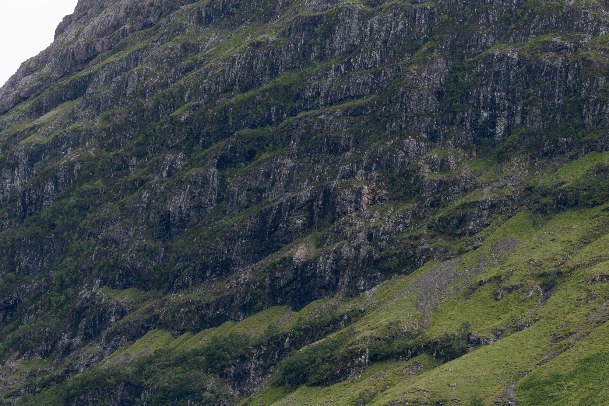 464 — Скачать