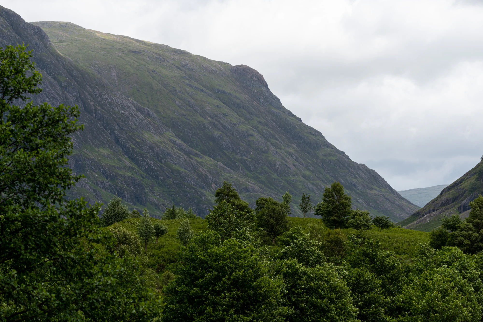 465 — Скачать