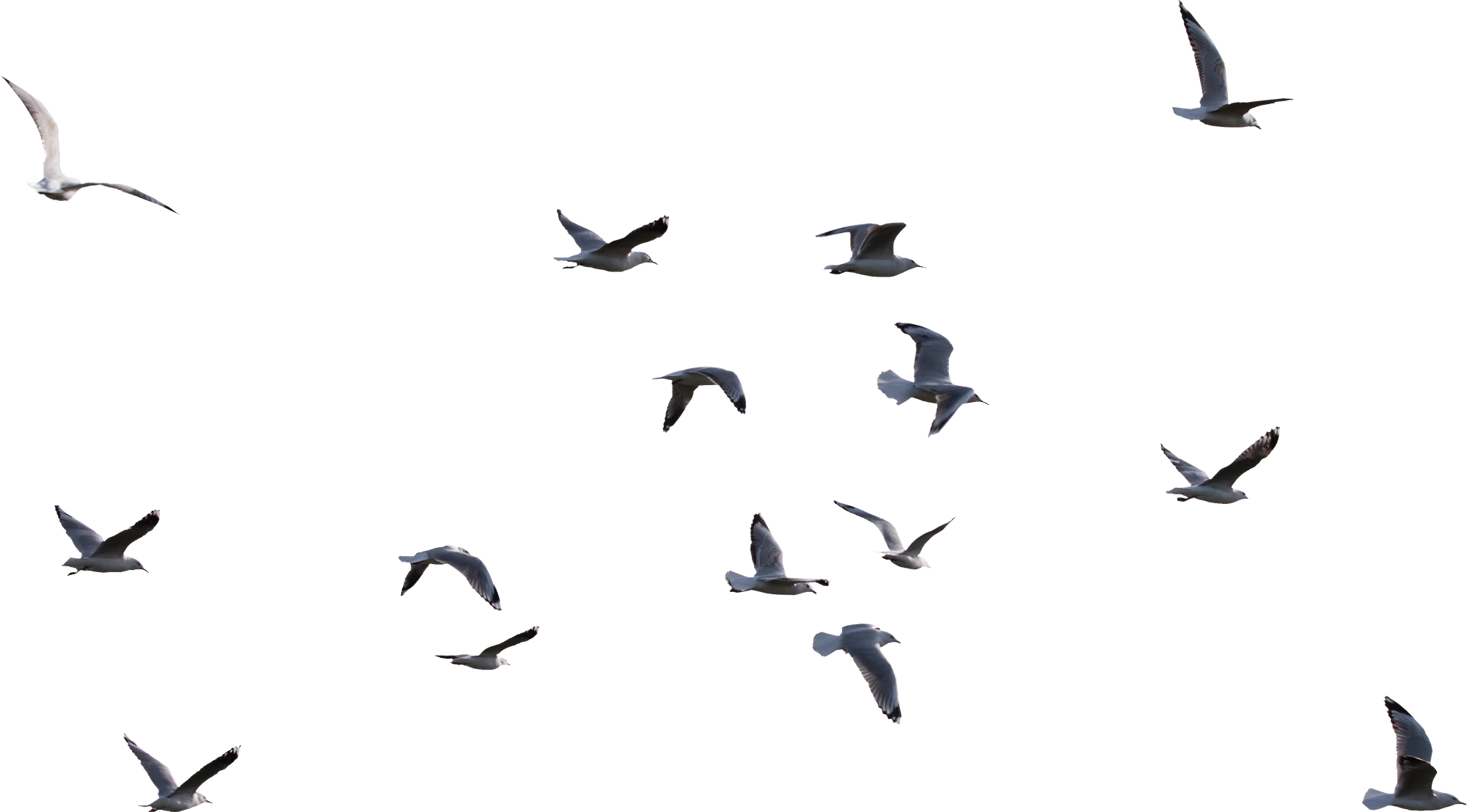 001 — Скачать