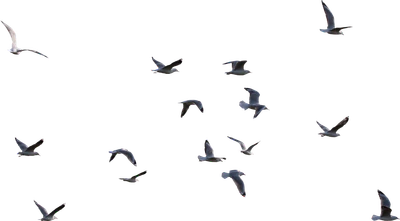001 — Скачать