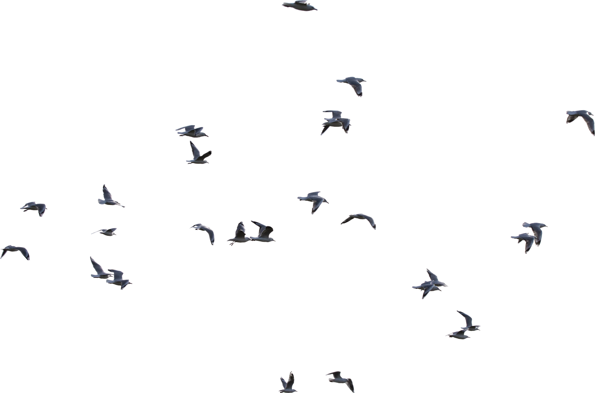 002 — Скачать