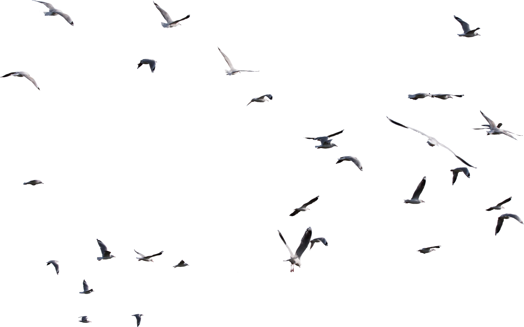 003 — Скачать