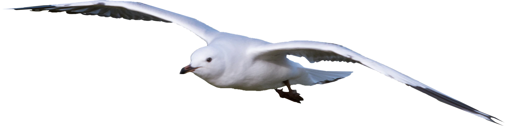 009 — Скачать