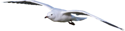 009 — Скачать