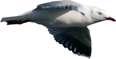 015 — Скачать