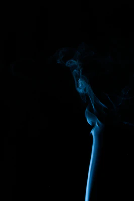 007 — Descargar