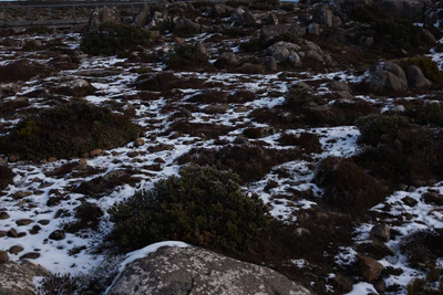 036 — Скачать