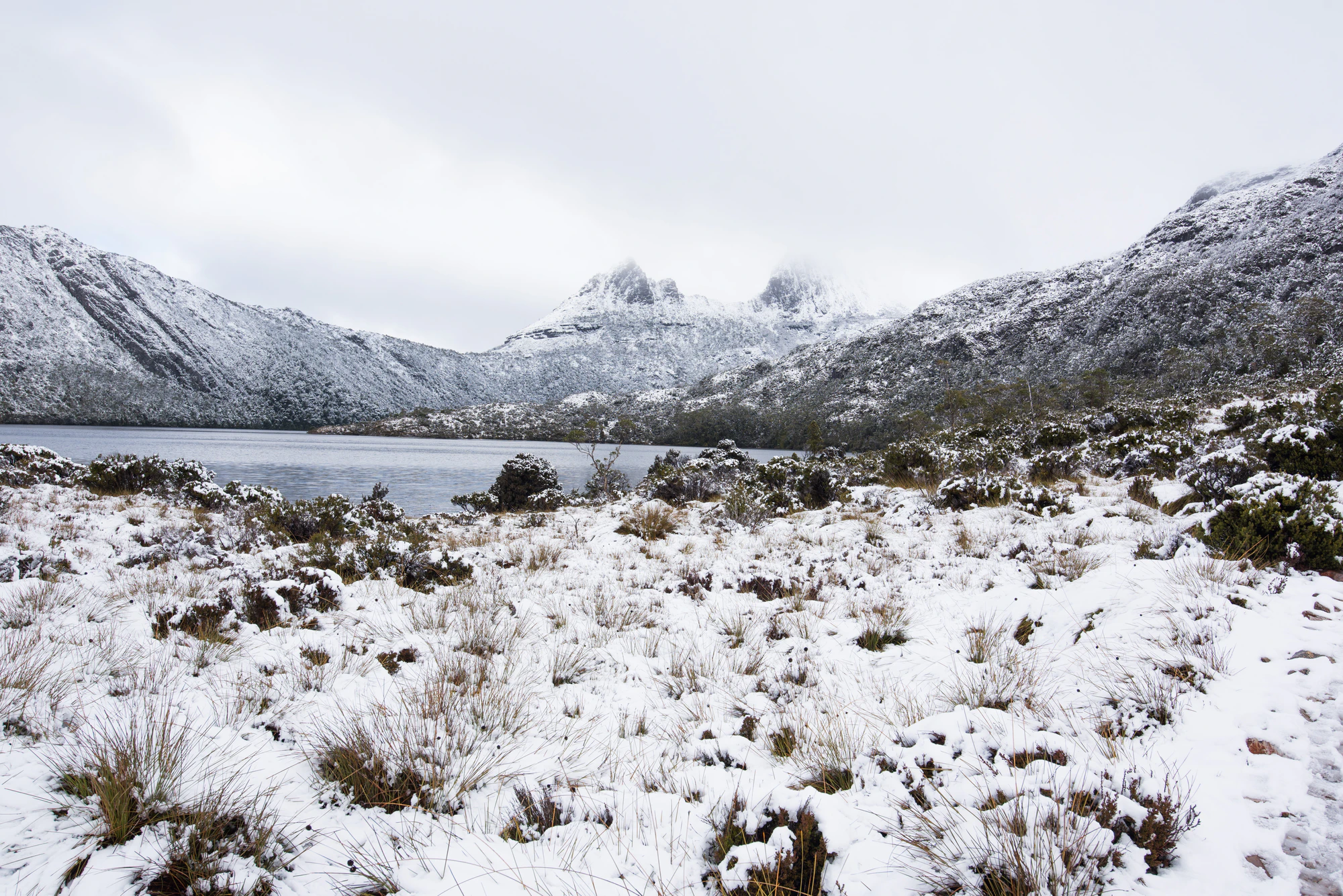 176 — Скачать