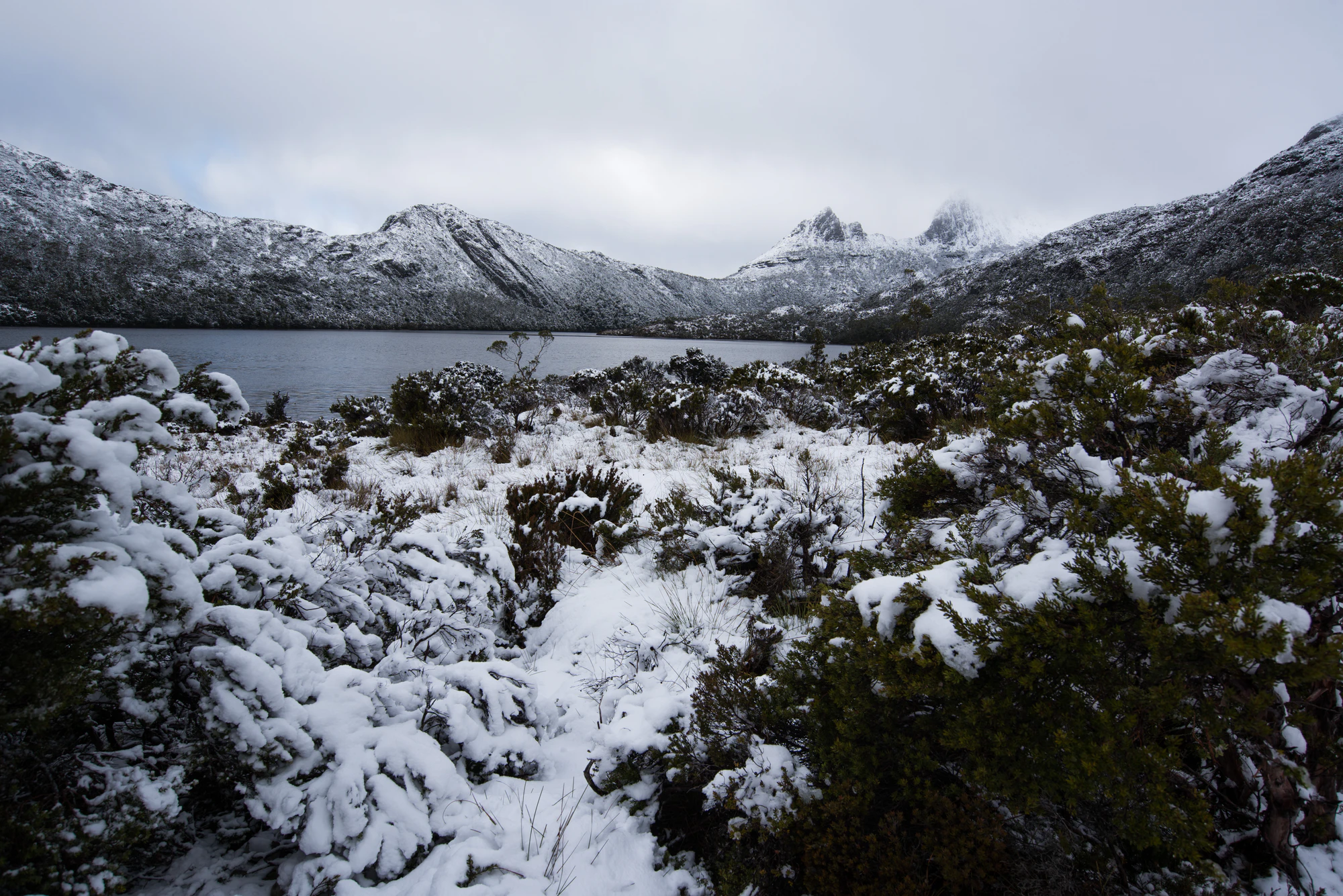 177 — Скачать