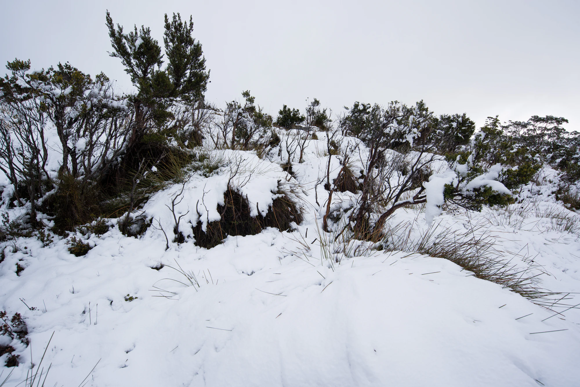 179 — Скачать