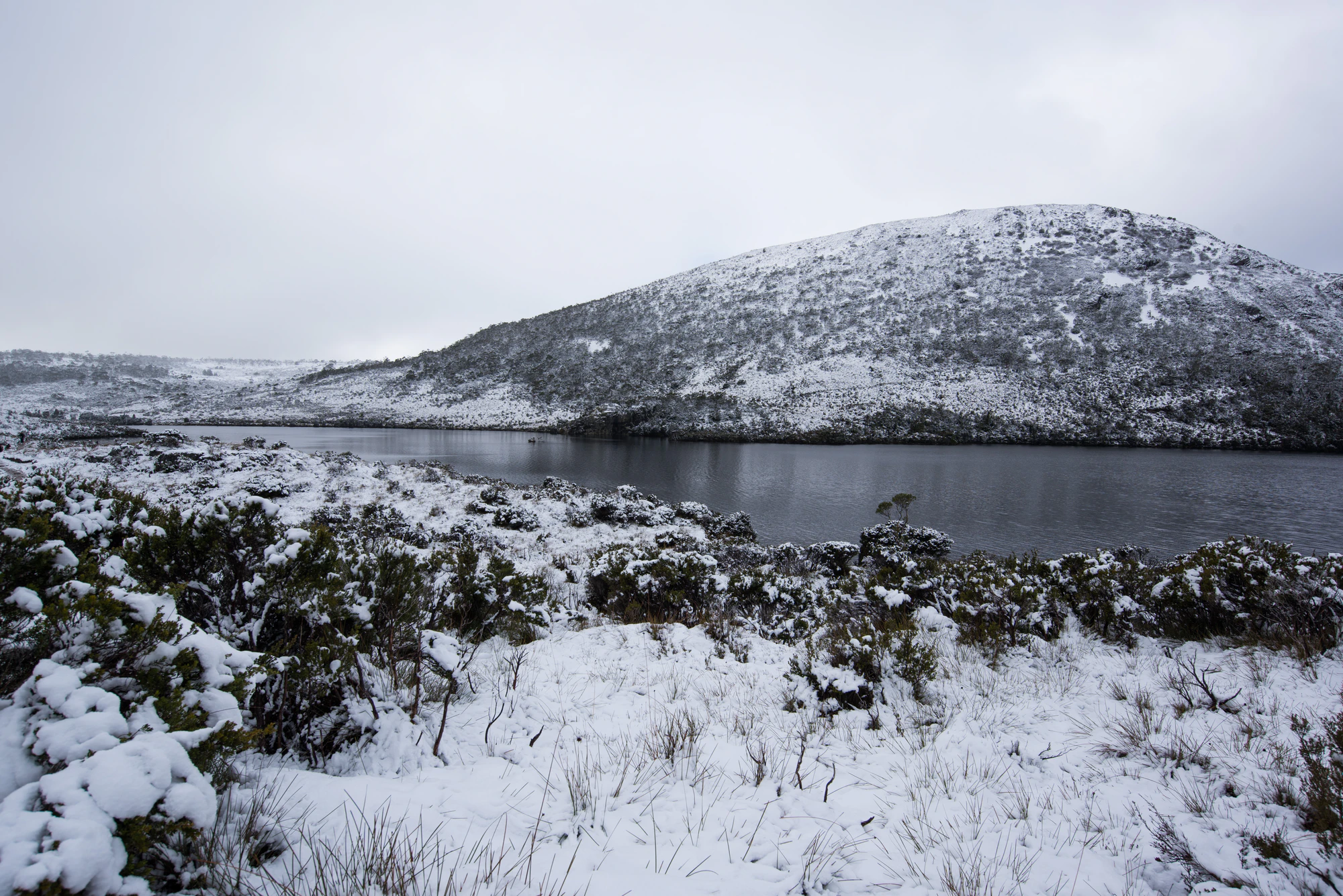 183 — Скачать