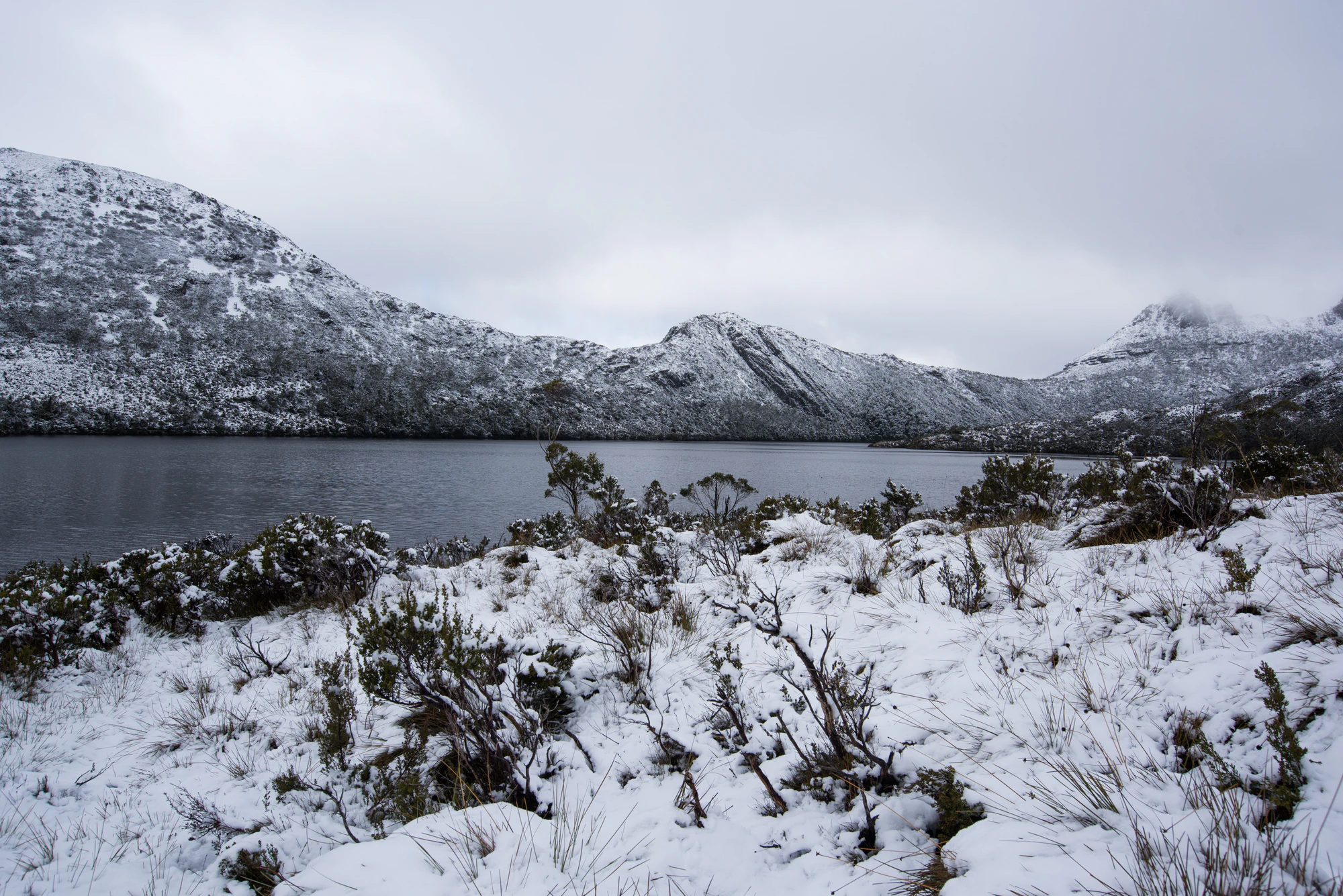 184 — Скачать