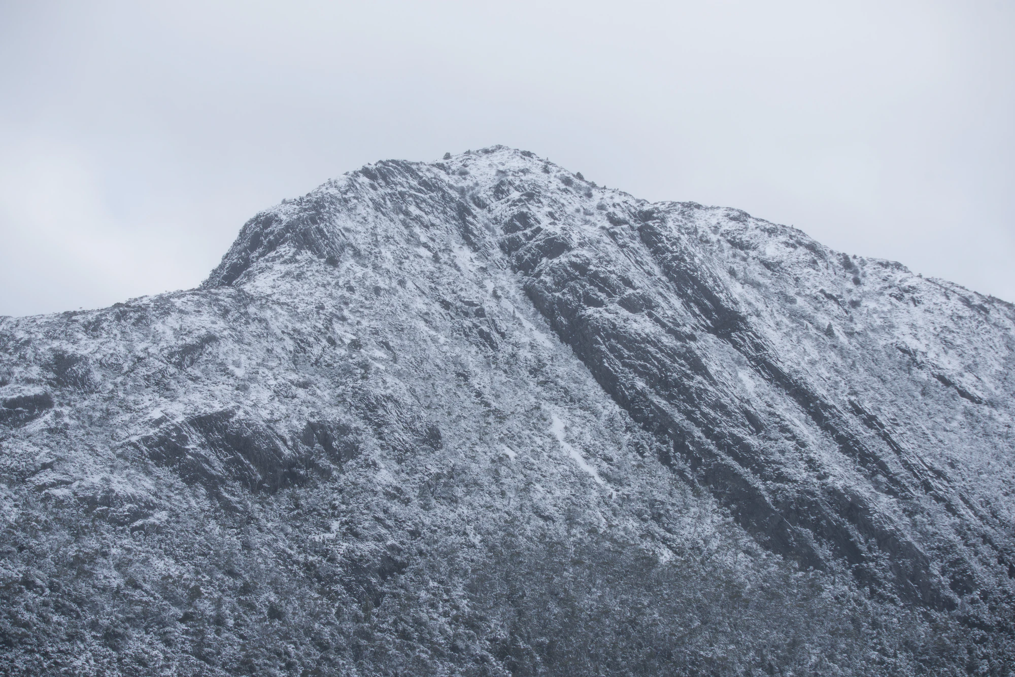 186 — Скачать