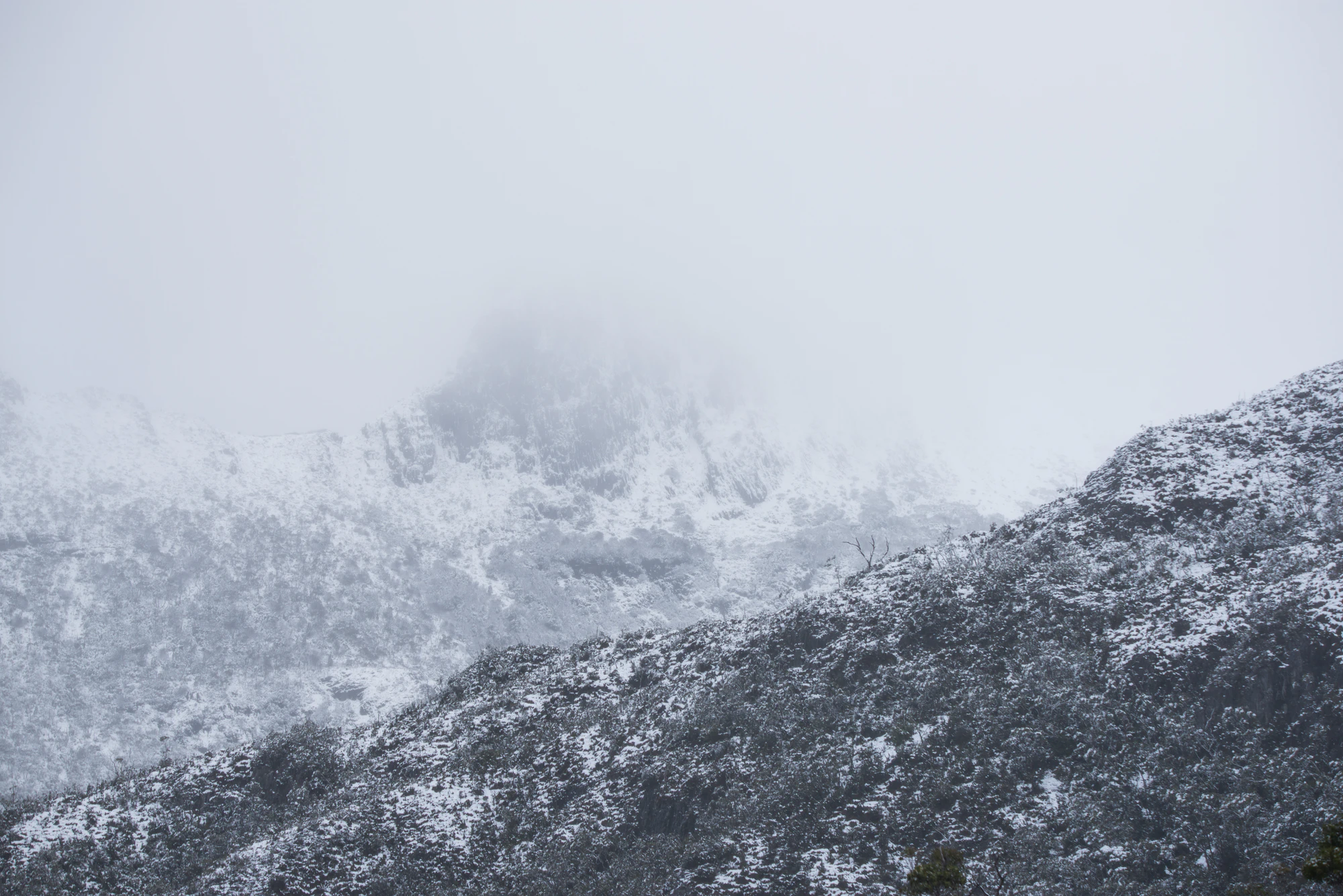 188 — Скачать