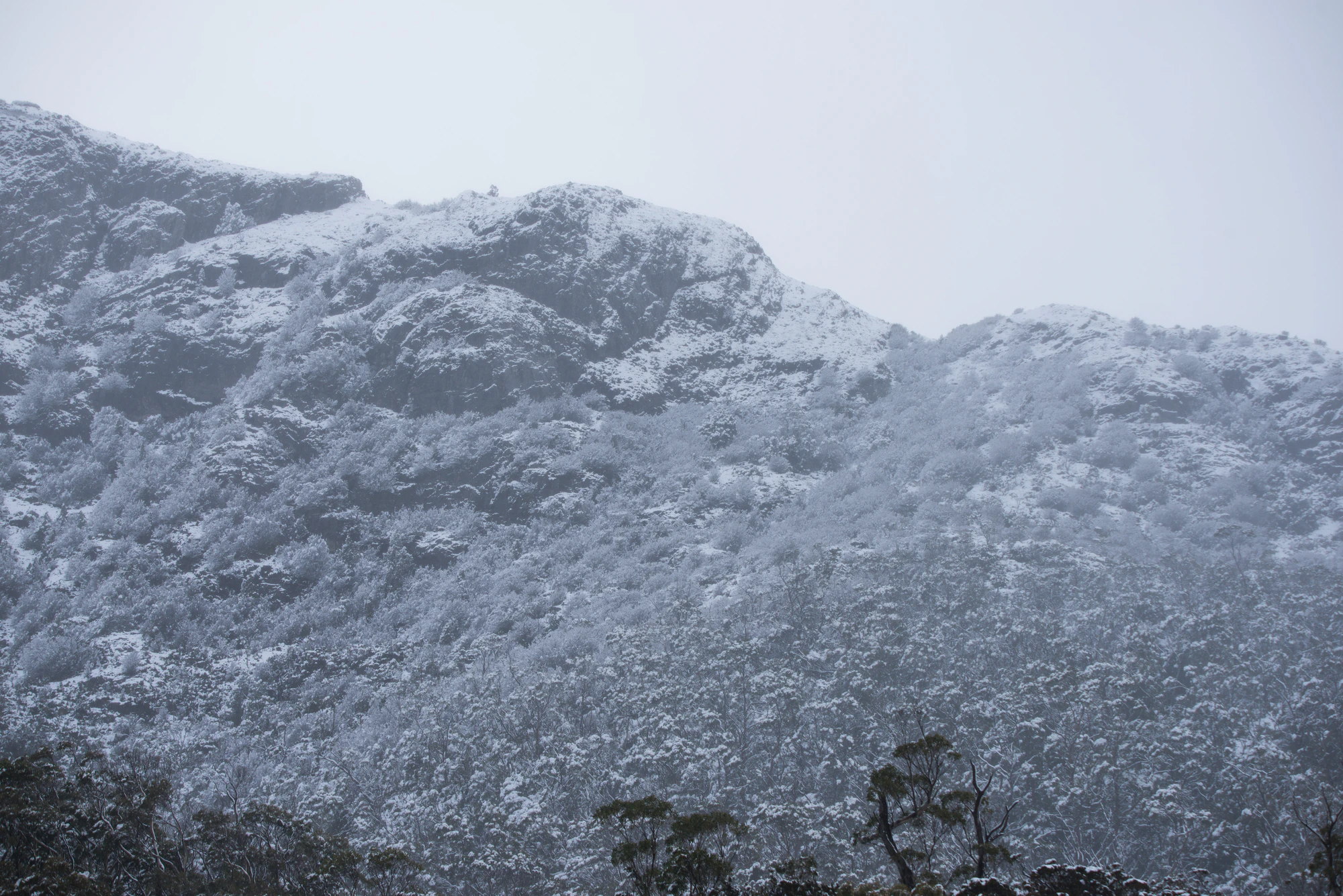 190 — Скачать