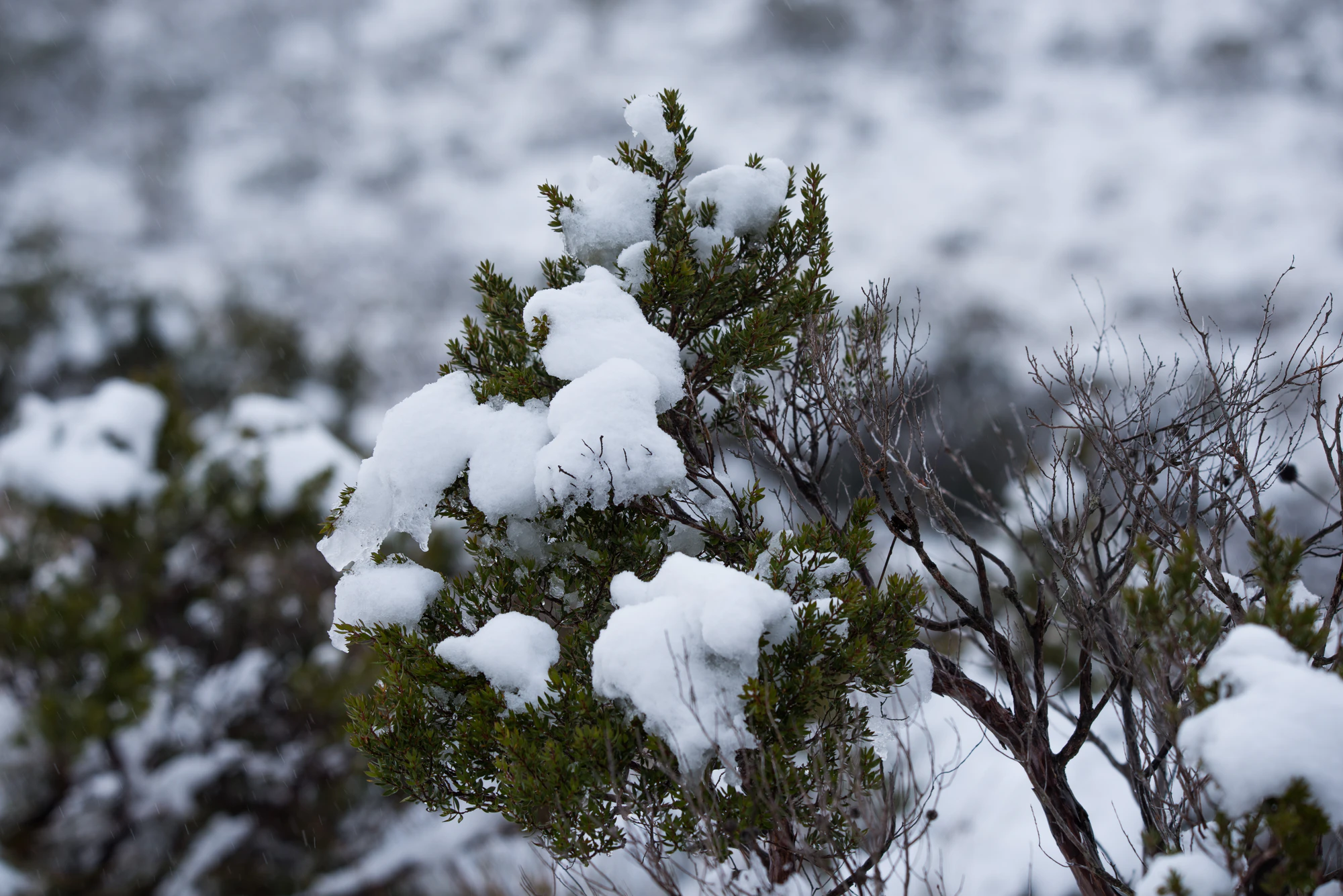 191 — Скачать