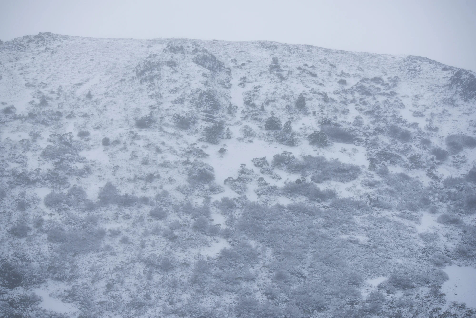 193 — Скачать